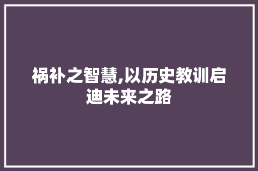 祸补之智慧,以历史教训启迪未来之路