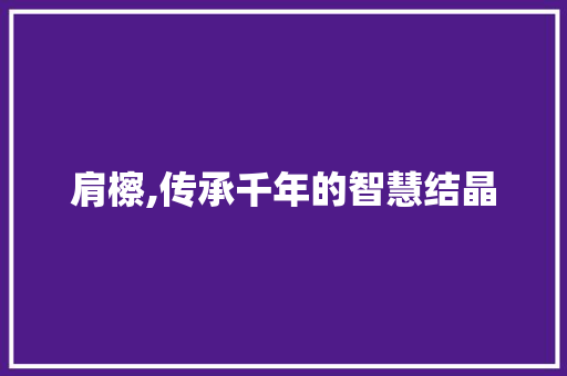肩檫,传承千年的智慧结晶