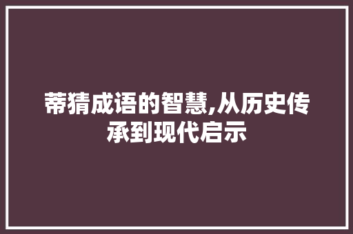 蒂猜成语的智慧,从历史传承到现代启示 工作计划