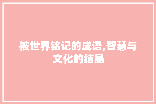 被世界铭记的成语,智慧与文化的结晶 个人简历