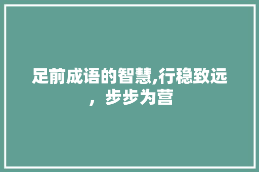 足前成语的智慧,行稳致远，步步为营