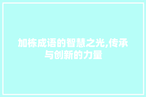 加栋成语的智慧之光,传承与创新的力量