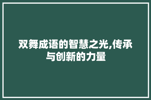 双舞成语的智慧之光,传承与创新的力量
