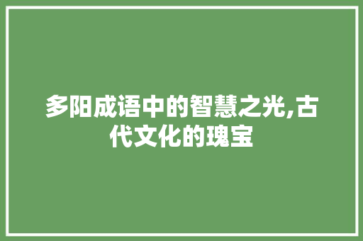 多阳成语中的智慧之光,古代文化的瑰宝 诗词鉴赏