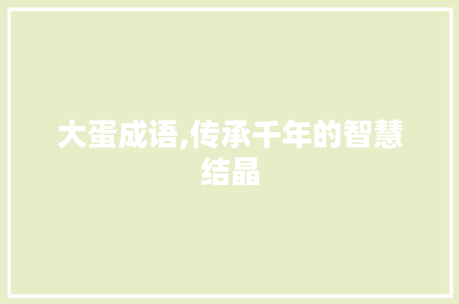 大蛋成语,传承千年的智慧结晶