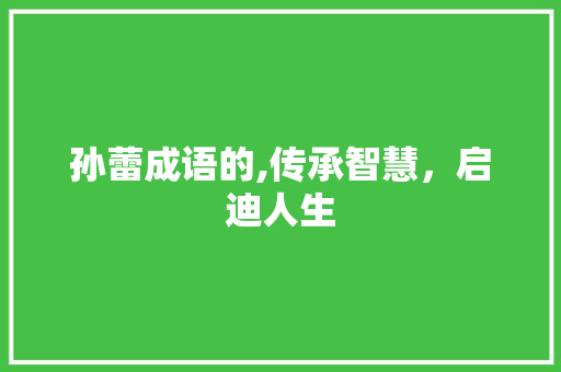 孙蕾成语的,传承智慧，启迪人生