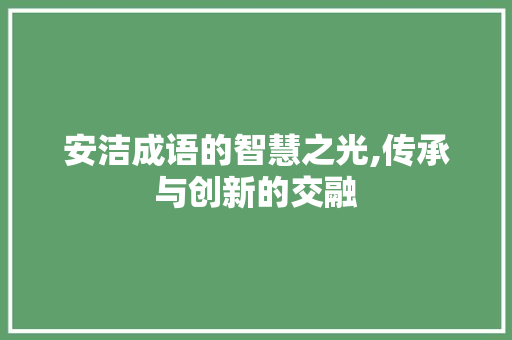 安洁成语的智慧之光,传承与创新的交融 工作总结