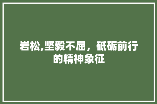 岩松,坚毅不屈，砥砺前行的精神象征