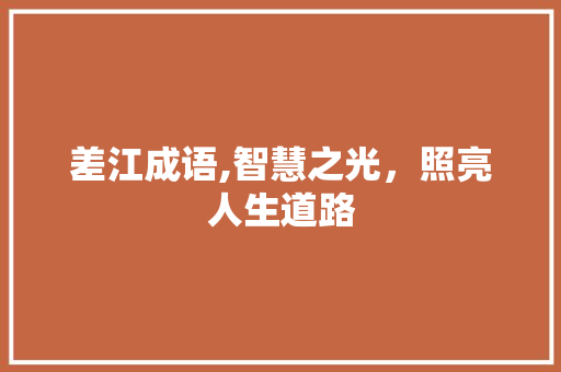 差江成语,智慧之光，照亮人生道路 合同范本