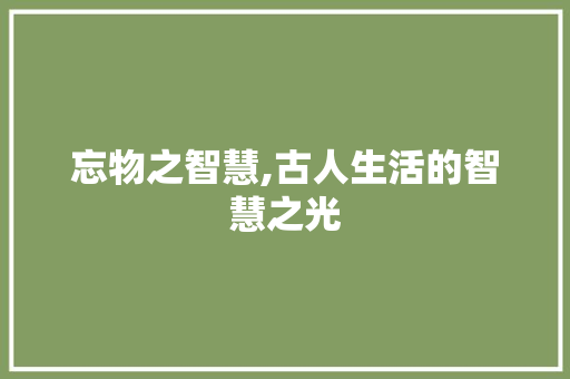忘物之智慧,古人生活的智慧之光