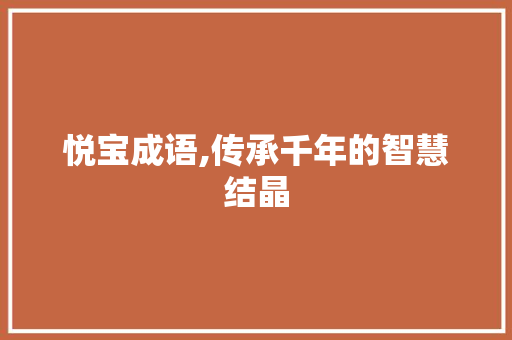 悦宝成语,传承千年的智慧结晶