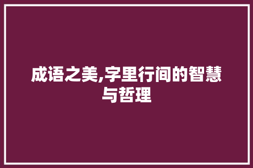 成语之美,字里行间的智慧与哲理