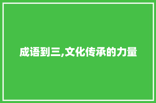 成语到三,文化传承的力量