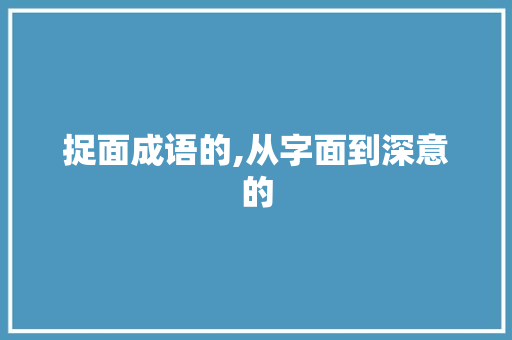 捉面成语的,从字面到深意的 工作计划