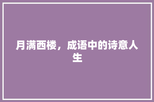 月满西楼，成语中的诗意人生