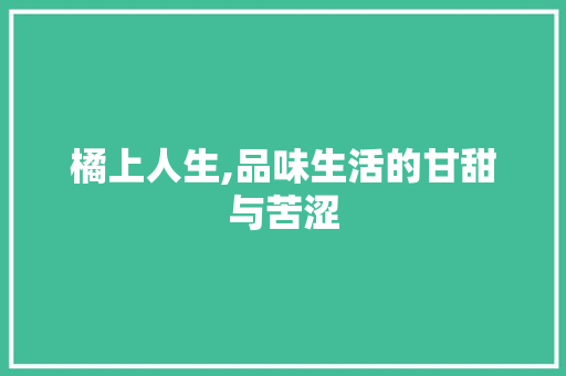 橘上人生,品味生活的甘甜与苦涩