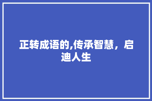 正转成语的,传承智慧，启迪人生