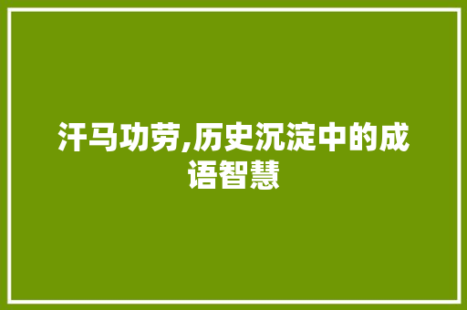 汗马功劳,历史沉淀中的成语智慧