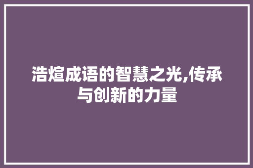 浩煊成语的智慧之光,传承与创新的力量