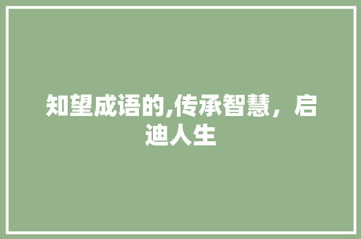 知望成语的,传承智慧，启迪人生