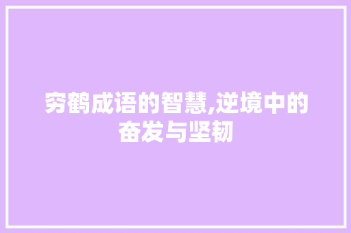 穷鹤成语的智慧,逆境中的奋发与坚韧