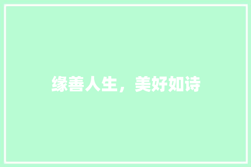 缘善人生，美好如诗