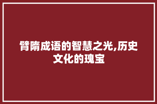 臂隋成语的智慧之光,历史文化的瑰宝