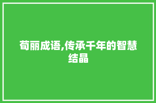 荀丽成语,传承千年的智慧结晶