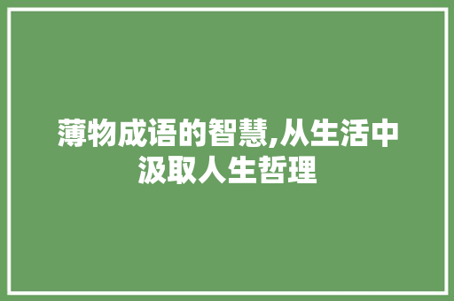 薄物成语的智慧,从生活中汲取人生哲理 国学经典