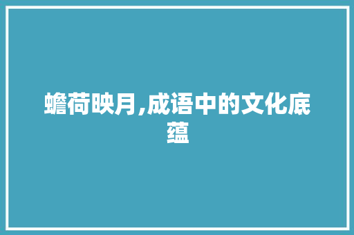 蟾荷映月,成语中的文化底蕴