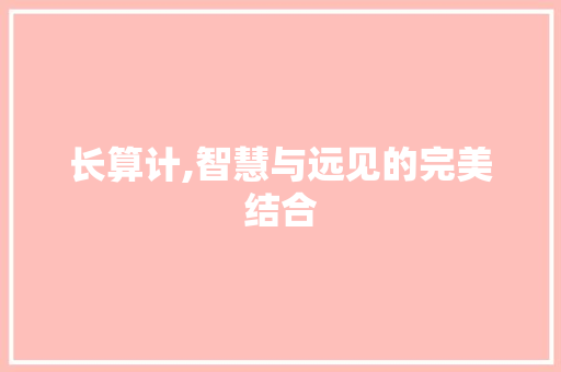 长算计,智慧与远见的完美结合 工作总结