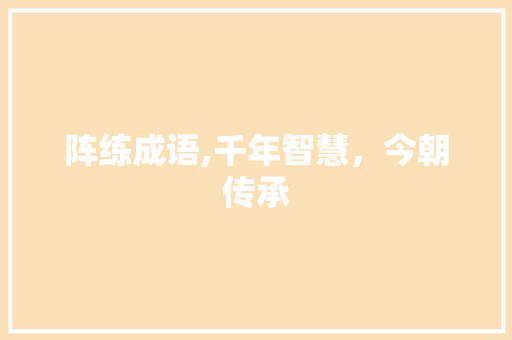 阵练成语,千年智慧，今朝传承