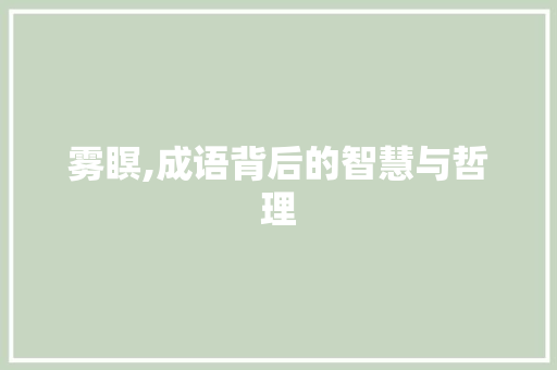 雾瞑,成语背后的智慧与哲理