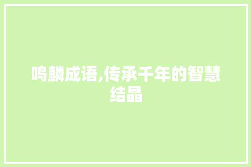 鸣麟成语,传承千年的智慧结晶