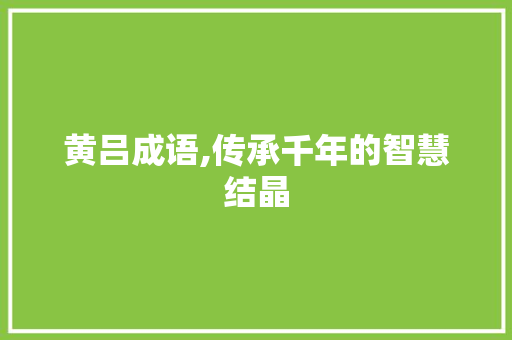 黄吕成语,传承千年的智慧结晶