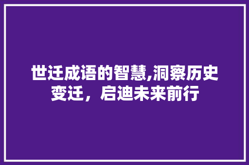 世迁成语的智慧,洞察历史变迁，启迪未来前行