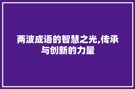 两波成语的智慧之光,传承与创新的力量
