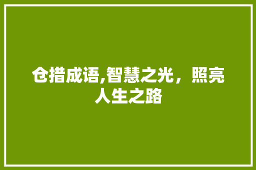 仓措成语,智慧之光，照亮人生之路 国学经典