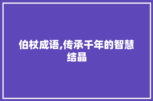 伯杖成语,传承千年的智慧结晶