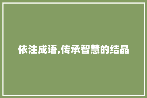 依注成语,传承智慧的结晶