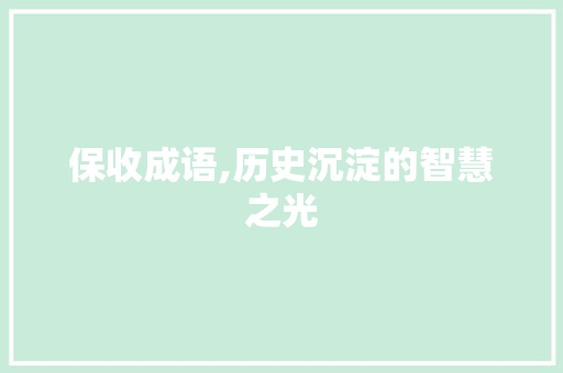保收成语,历史沉淀的智慧之光