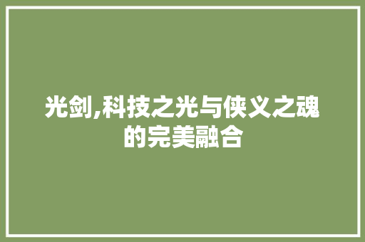 光剑,科技之光与侠义之魂的完美融合
