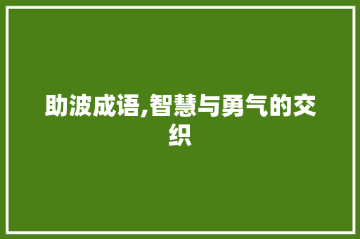 助波成语,智慧与勇气的交织