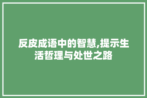 反皮成语中的智慧,提示生活哲理与处世之路 国学经典
