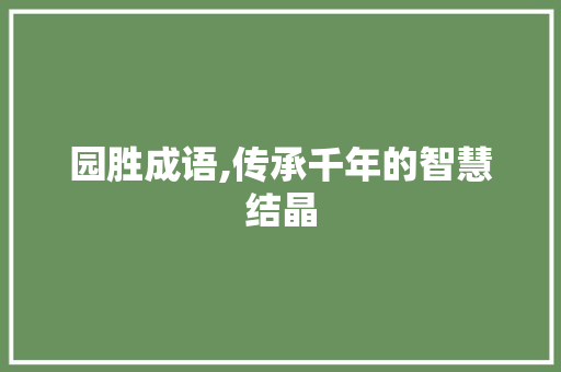 园胜成语,传承千年的智慧结晶