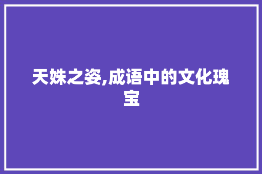 天姝之姿,成语中的文化瑰宝