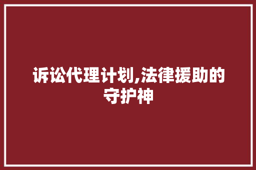 诉讼代理计划,法律援助的守护神