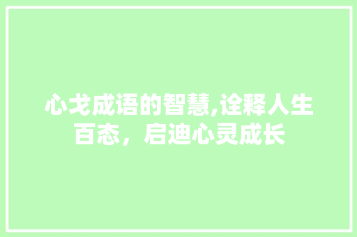 心戈成语的智慧,诠释人生百态，启迪心灵成长