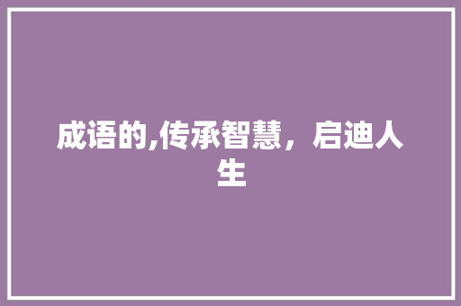 成语的,传承智慧，启迪人生