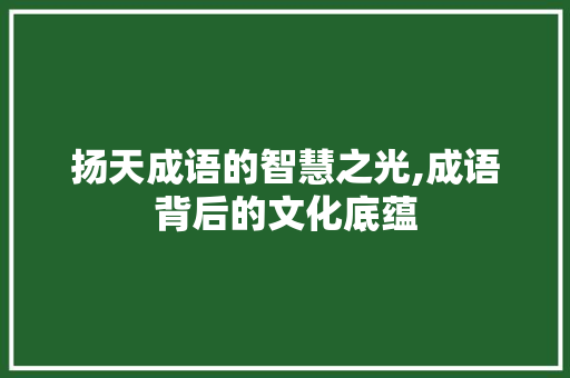 扬天成语的智慧之光,成语背后的文化底蕴